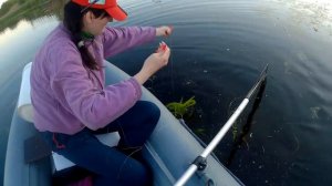 РЫБАЛКА НА ЩУКУ, ЩУКА ТОПИТ КРУЖКИ 2020