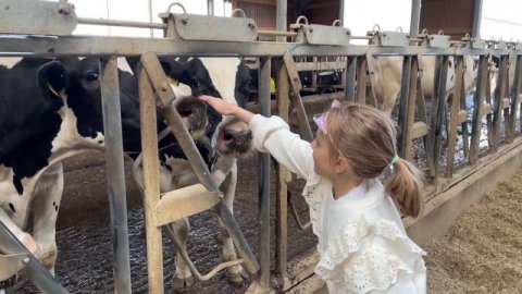 Экскурсия на ферму «ЭКОнива»