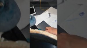 Как заклеить трещину в деке скейта с помощью классического клея