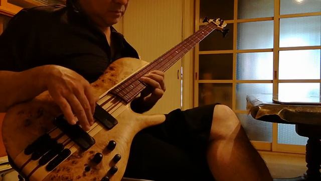Ibanez SRSC800 Bass Solo (I Wish) смотреть онлайн