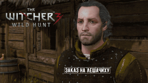 THE WITCHER 3 |Заказ на Лешачиху | #2