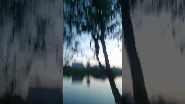 Купание на реке Харинка. ГОРОД ИВАНОВО. смотреть онлайн