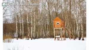 Охота в Калужской области – Спортивно-охотничий клуб "ИСТРИНСКИЙ" охота на лося в Калужской области