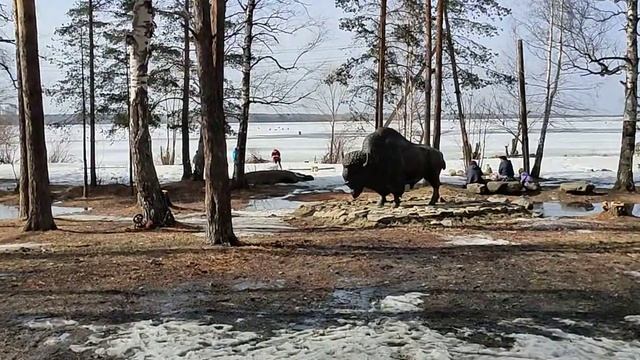 Куда сходить в Екатеринбурге часть 1 Шарташ смотреть онлайн