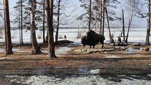 Куда сходить в Екатеринбурге часть 1 Шарташ