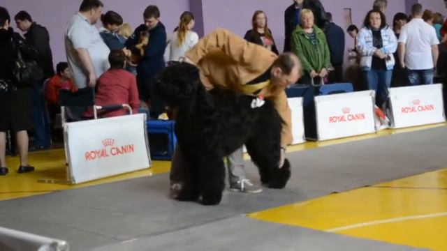 DSC 8922 смотреть онлайн