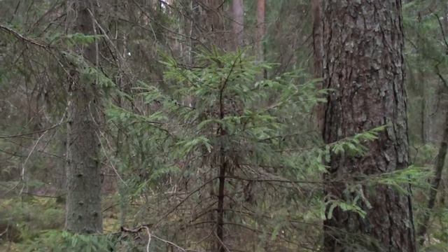 первый день последнего осеннего месяца смотреть онлайн