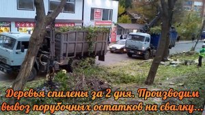 Спил веток и вывоз порубочных остатков. АльпПром Самара