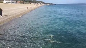 Отзыв отель Otium Park Akman Beach Resort 4* (Larissa Hotel) Кемер, Чамьюва