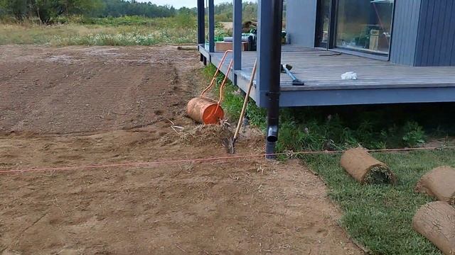 Рулонный газон, 2 сотки, г. Руза смотреть онлайн