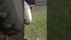 Установка дозатора Т25