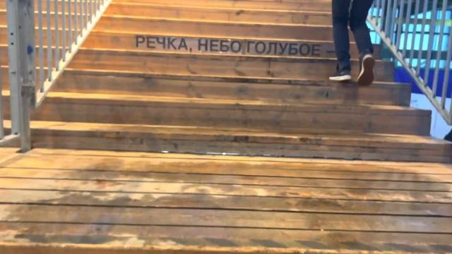ВЛОГ: Севкабель порт, ярмарка, выставка Балабанов