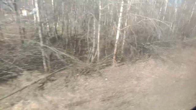 Пригородная электричка "Проспект Гагарина - Суроватиха" смотреть онлайн