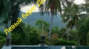 Левый берег Дона