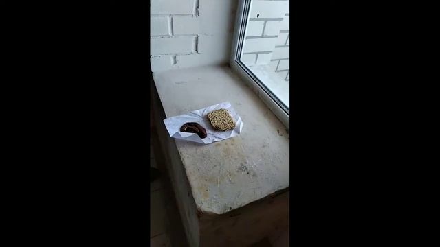 Лайфхак ! Как приготовить еду в подъезде!!! #Лайфхак смотреть онлайн