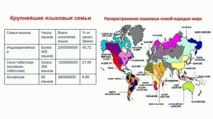 ІІІ - четверть, География, 7 класс, Языковые семьи и группы народов мира