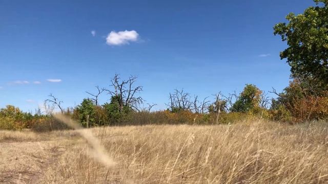 озеро Ольховое, Закат, город Михайловка смотреть онлайн