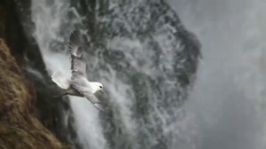 Город на Море - Эдгар Аллан По. Стих