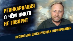 Реинкарнация О чем никто не говорит