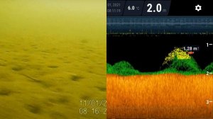 Что на самом деле показывает deeper pro+/часть 2/CALIPSO