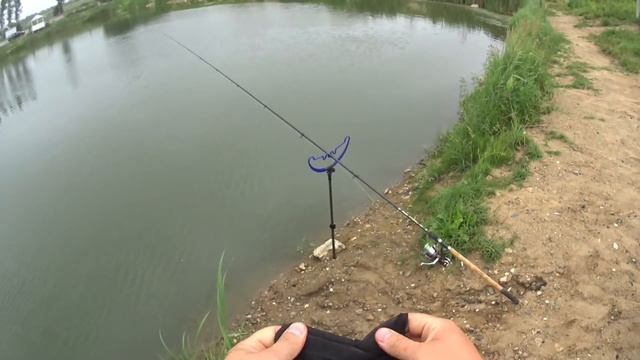 Рыбалка на Сома! В клубе охотников и рыболовов Подкова, Платник, Химки, Московская область смотреть онлайн