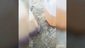 Строительство в зимний период.Приготовление раствора при отрицательных температурах.Каменщик.Кровля