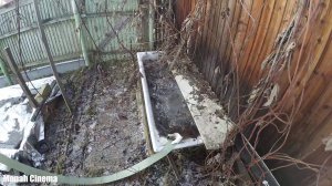 Купили дом в деревне с участом в 2019 году. Теперь мы Московская деревенщина. Обзор нашего дома.