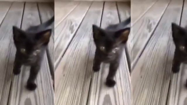 до помытия и после смотреть онлайн