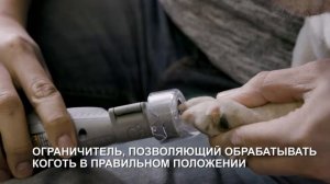Набор для подрезки когтей DREMEL® 7020-PGK (Dremel Pet Nail Grooming) F0137020JD