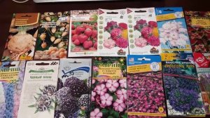 Январь - дела садовые. Что посеять в январе?