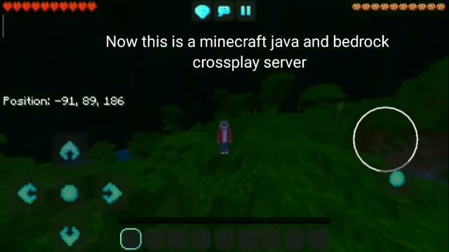 New 24/7 minecraft java and bedrock crossplay smp server (first 5 joiners will be admins)