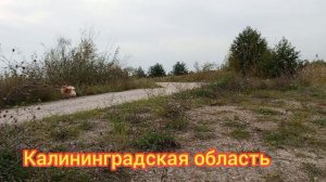 Отдых и работа в Калининграде и области