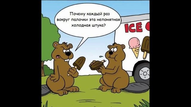 Смешные фотки про жизнь   веселые картинки для поднятия  настроения!