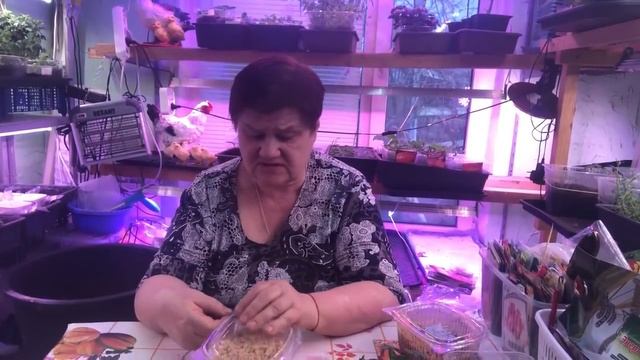 Стоит ли проращивать семена в опилках. Для тех, кто все еще сомневается.