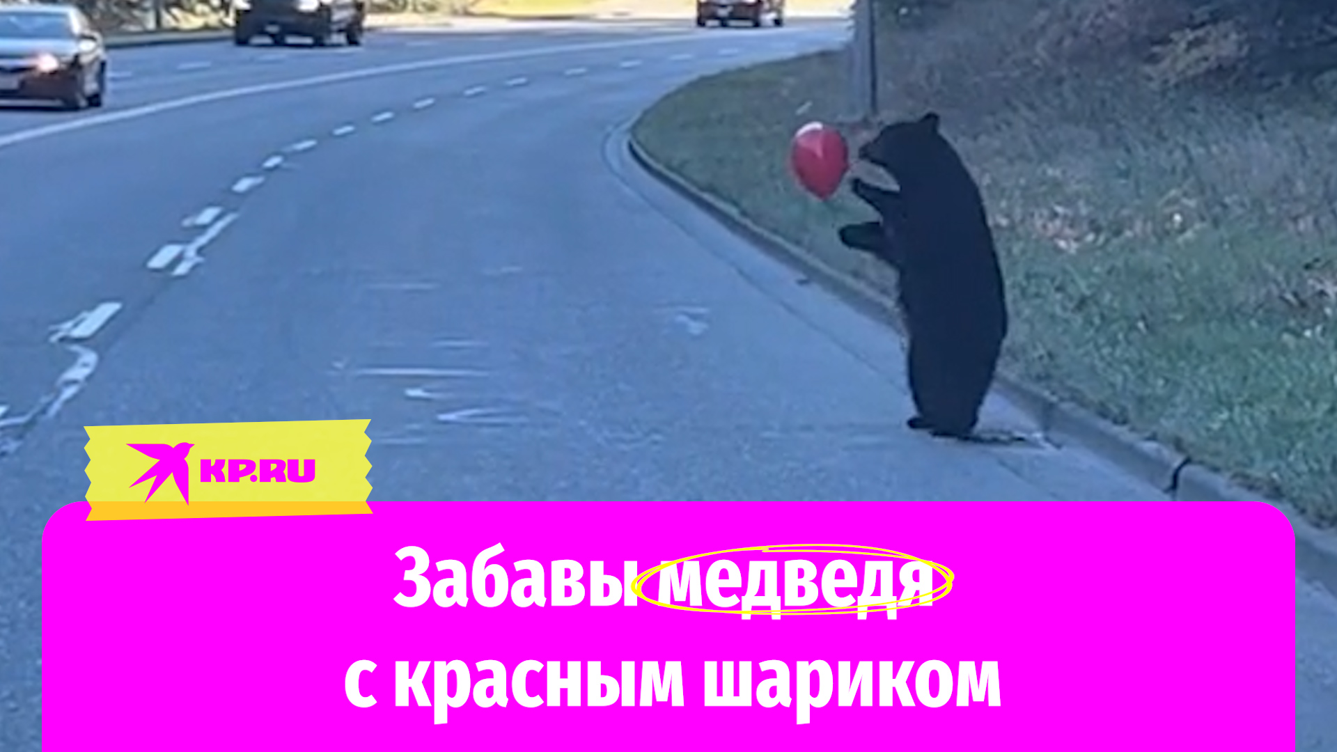 Медвежонок в Канаде поиграл с красным воздушным шариком