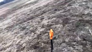 Коп с ТХ850 За исключением всего ОНА НАШЛАСЬ!