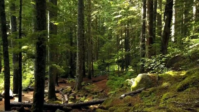 Гарри Поттер и Философский камень. смотреть онлайн