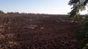 Отстрел на кучность 28 калибра, латунь, дробь номер 3 и 1 в контейнер, на 30 и 50 метров, чок 0,4.