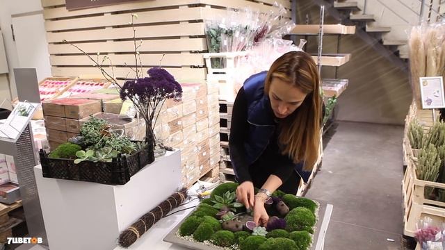 Мастер-класс по флористике от Ольги Шаровой | Цветочная композиция с суккулентами и картошкой смотреть онлайн