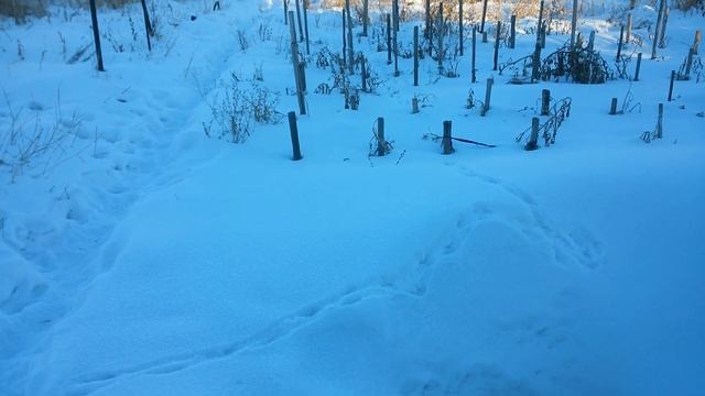 Так выглядит дача зимой - специально снимаю широкоформатно для плейлиста "Дачные заботы и работы 3" смотреть онлайн