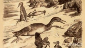 гесперорнис и фороракос-кто они