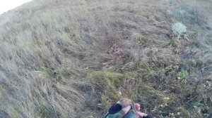 Охота с Легавой на Куропатку.Ростовские степи и балки.День 2.