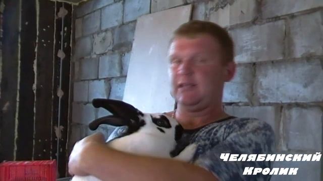 Мои НОВЫЕ кролы #22 смотреть онлайн