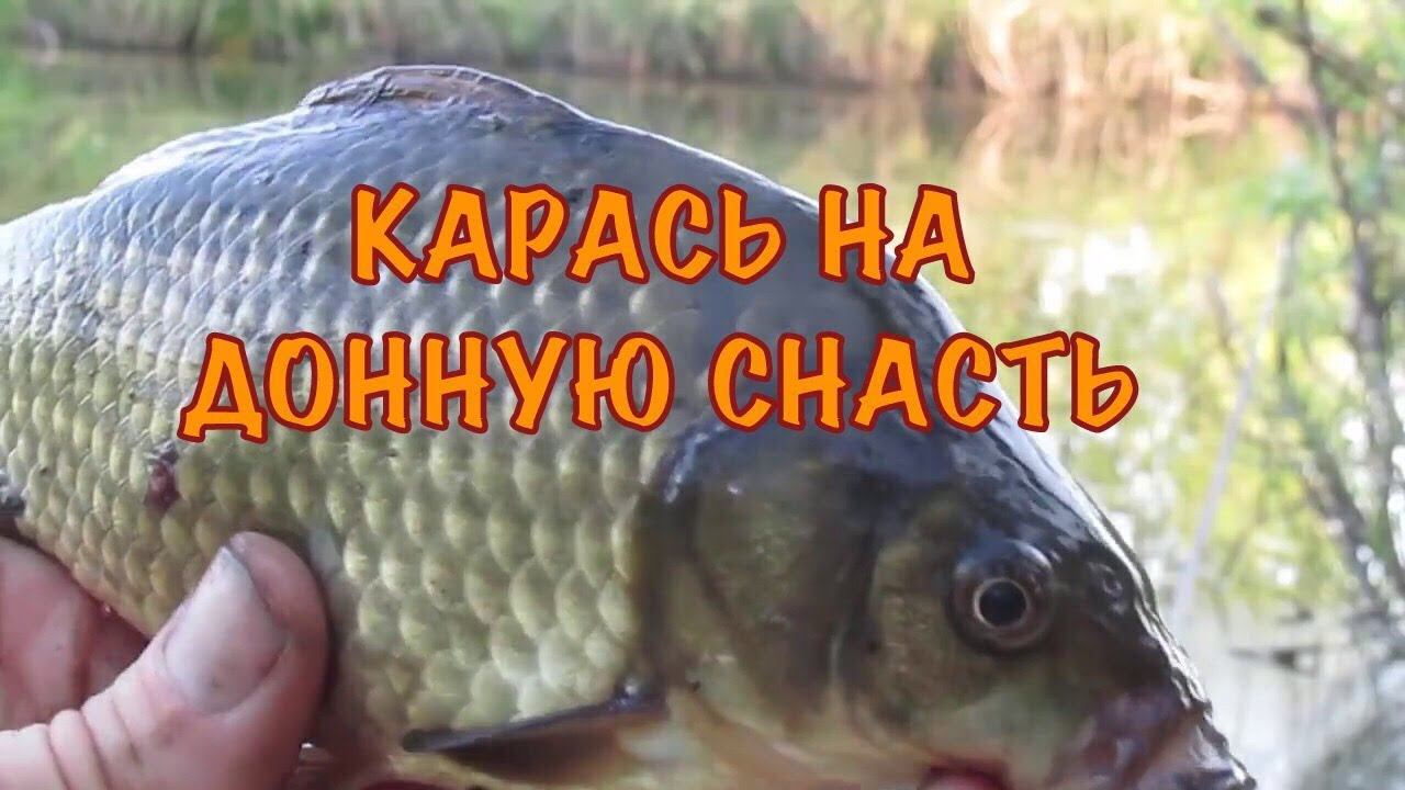 Ловля КАРАСЯ на донную снасть+ПОДВОДНАЯ СЪЁМКА|Много малька. смотреть онлайн