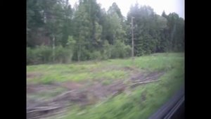 На перегоне Киприя - Анциферово-Мологское