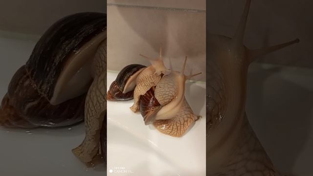 Вечерний душ и ужин