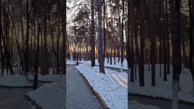 РЕАЛИЗАЦИЯ ЖЕЛАНИЙ