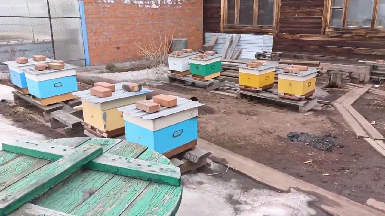 Начало сезона выставка2023 смотреть онлайн