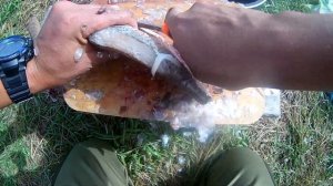 Рыбалка на леща с подпиши Коми готовим уху на природе