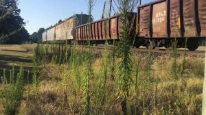 UP 8738 NB SD70ACE Leads Manifest Magnolia,Tx